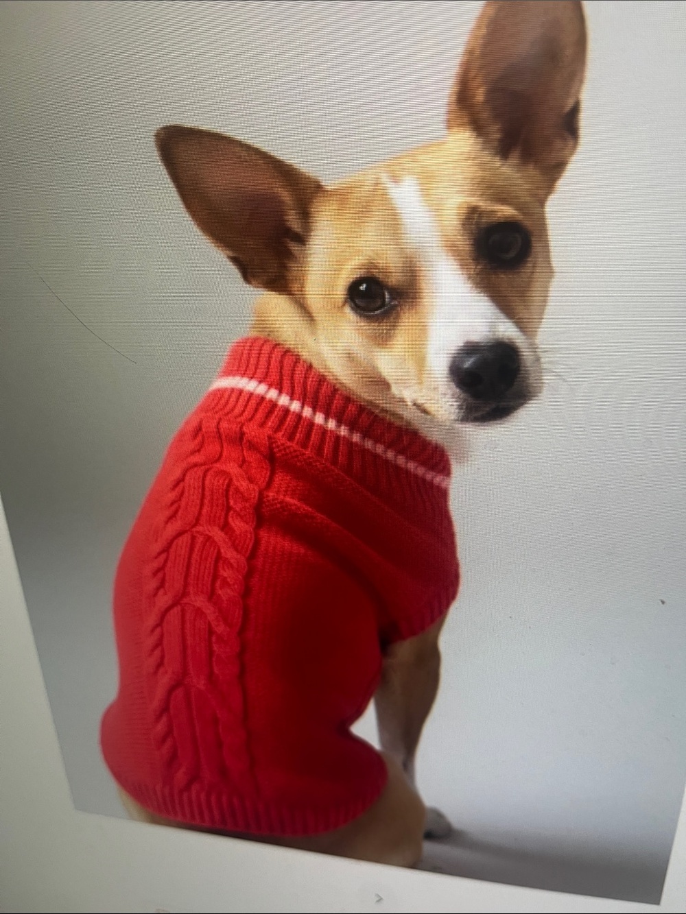 Red Cable-Knit Dog Sweater - Unbranded Cozy Knit